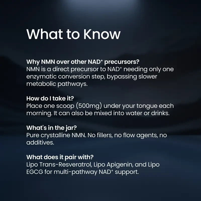 Pure NMN Powder for Energy and Youthful Vitality